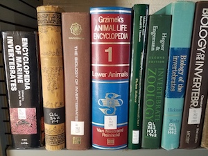 Part of a shelf of books, all about invertegrates